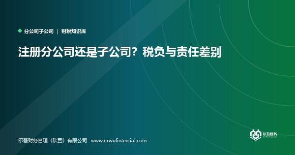 注册分公司还是子公司？税负与责任差别